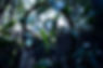 DSC01385ホームページ.jpg