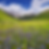 VALLEY OF FLOWERS TREK