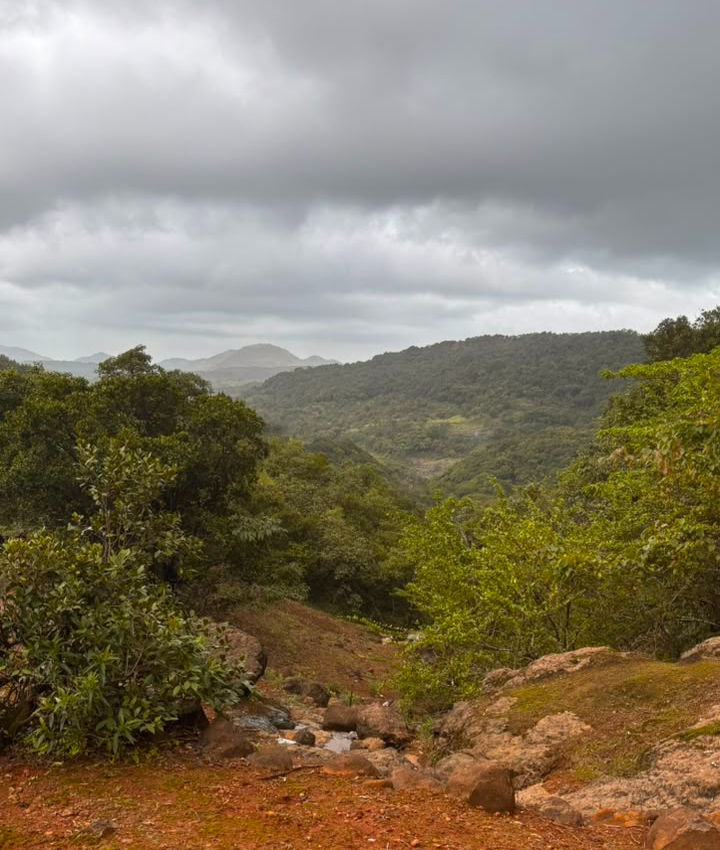 Bhimashankar