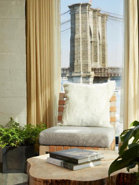 1 Hotel Brooklyn Bridge