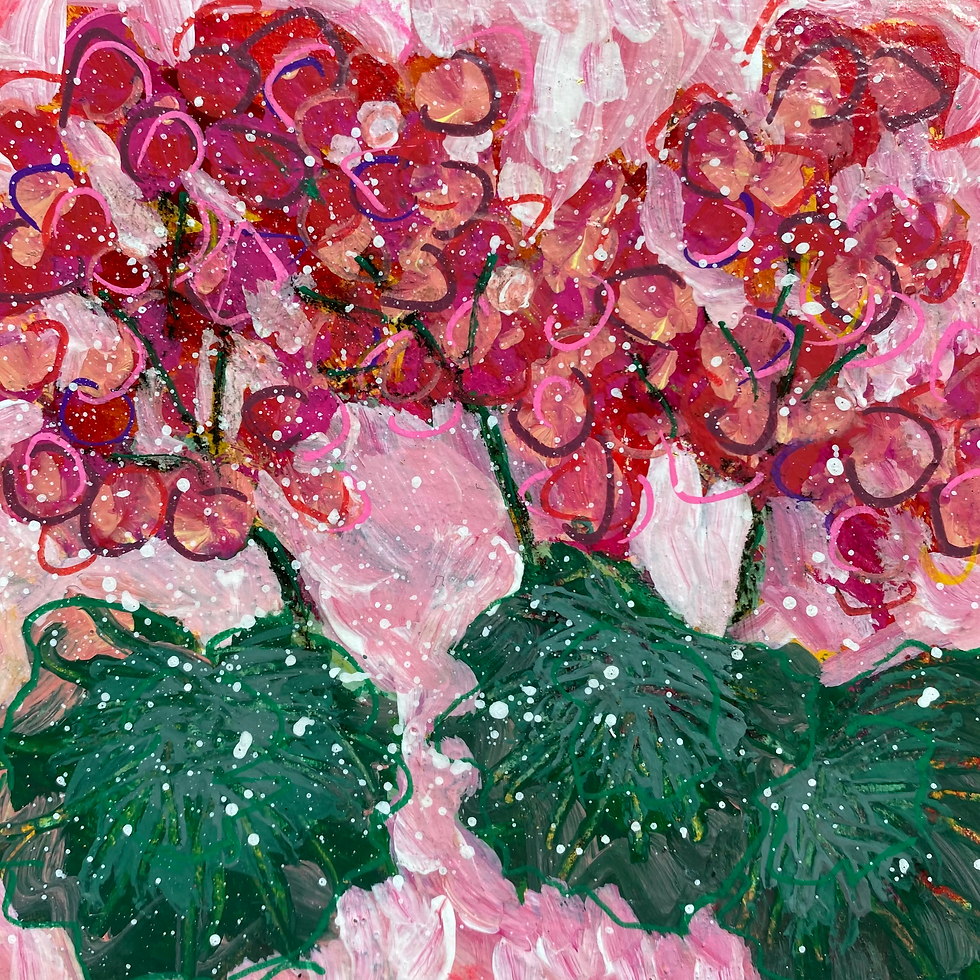 Lonely Geranium In A Tulip Patch