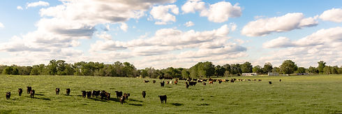 wide view ranch.jpeg