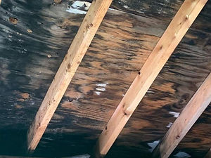 moldy crawl space wet crawl space