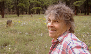 That Thing with Feathers: Hope and Literature in a Time of Upheaval