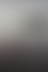 A year with the Great Salt Lake