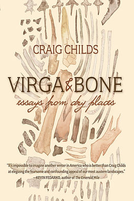 VIRGA & BONE.jpg