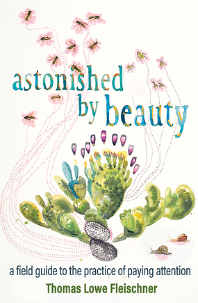 ASTONISHED draft a 09.22 (1).png