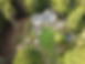 DJI_0246.JPG