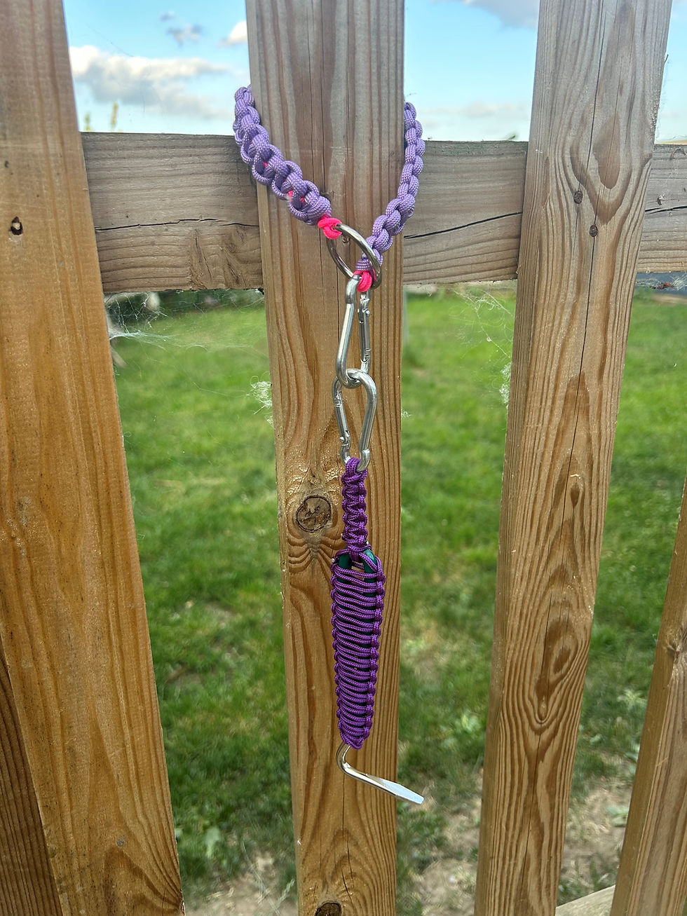 Thumbnail: Portable Stable Hook/Bucket Tie