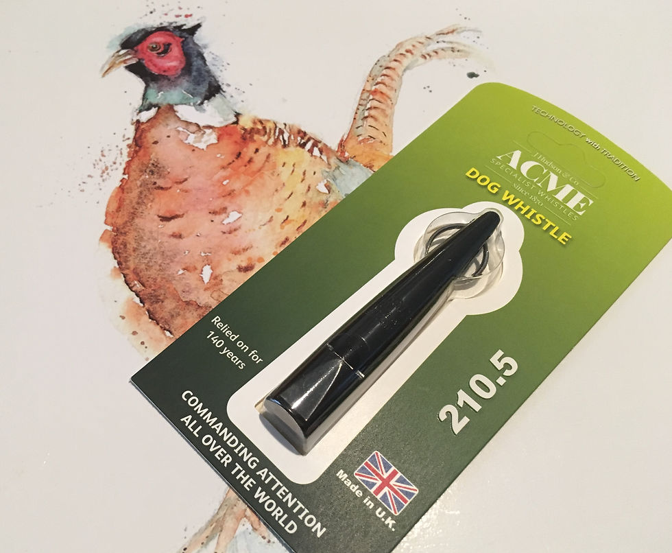 Thumbnail: Acme 210.5 Whistle and Basic Lanyard - Black