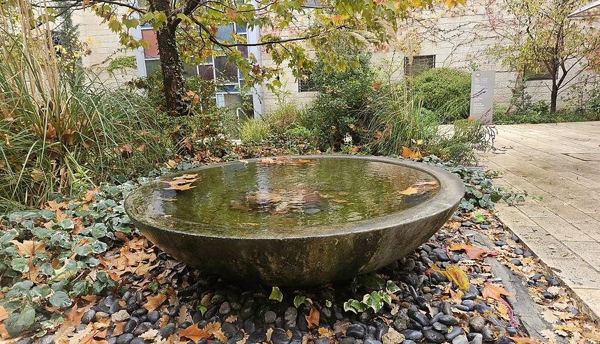 תמונה של WhatsApp 2025-12-10 בשעה 20.21.27_8f86c2d9.jpg