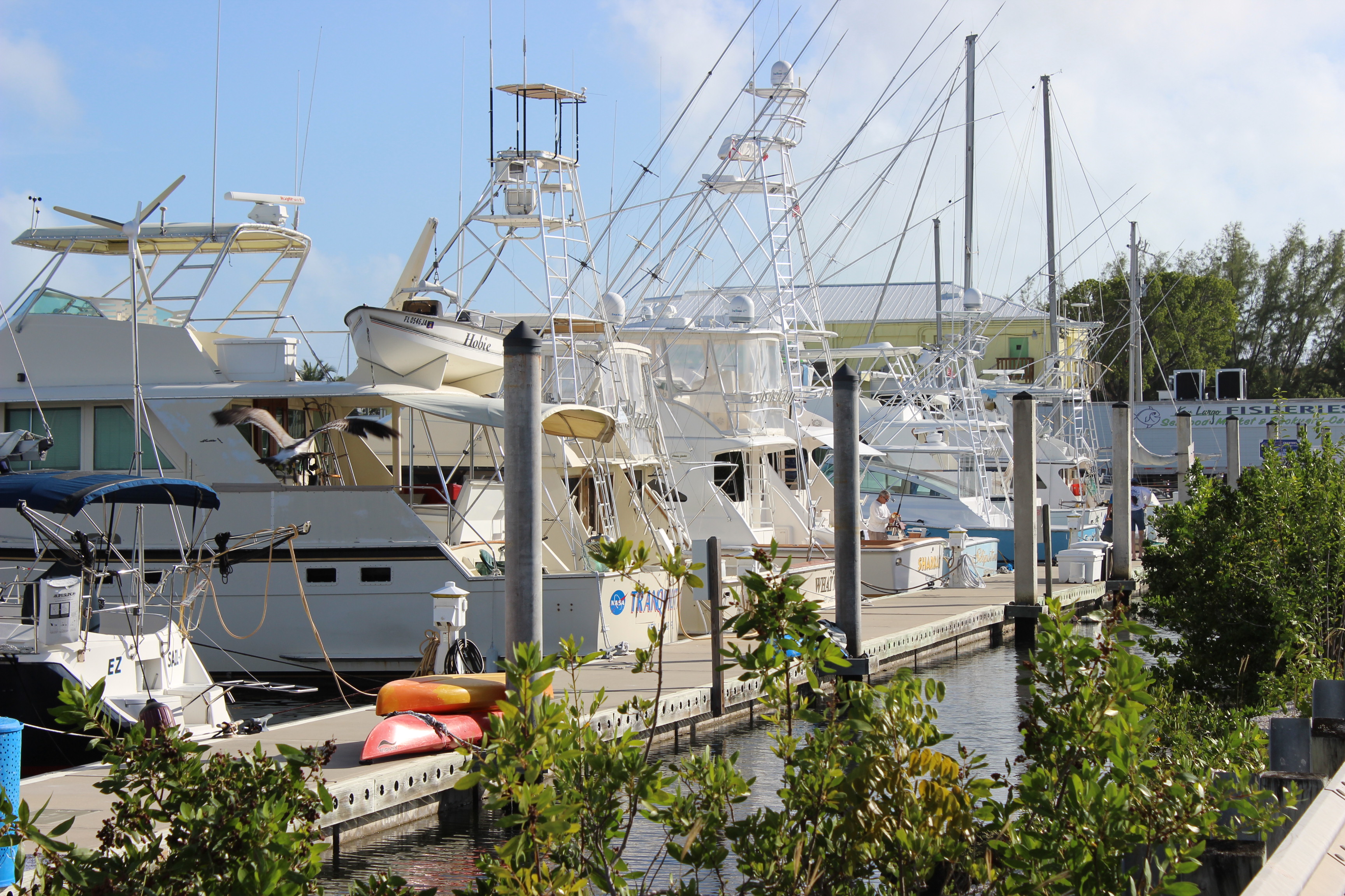 Port Largo homes For Sale in Key Largo Florida