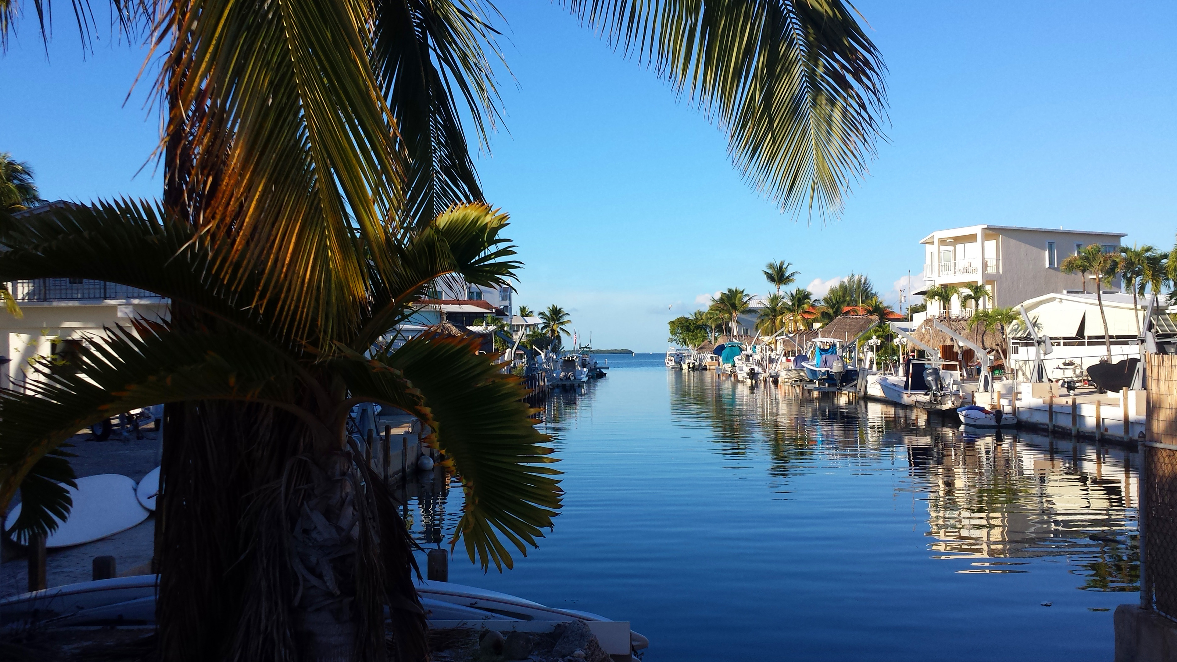 Hammer Point, FL Homes For Sale Kim Reeder The K Company