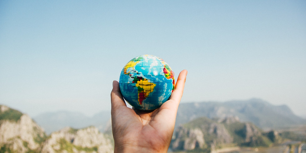 Investment Opportunities in a challenging environment