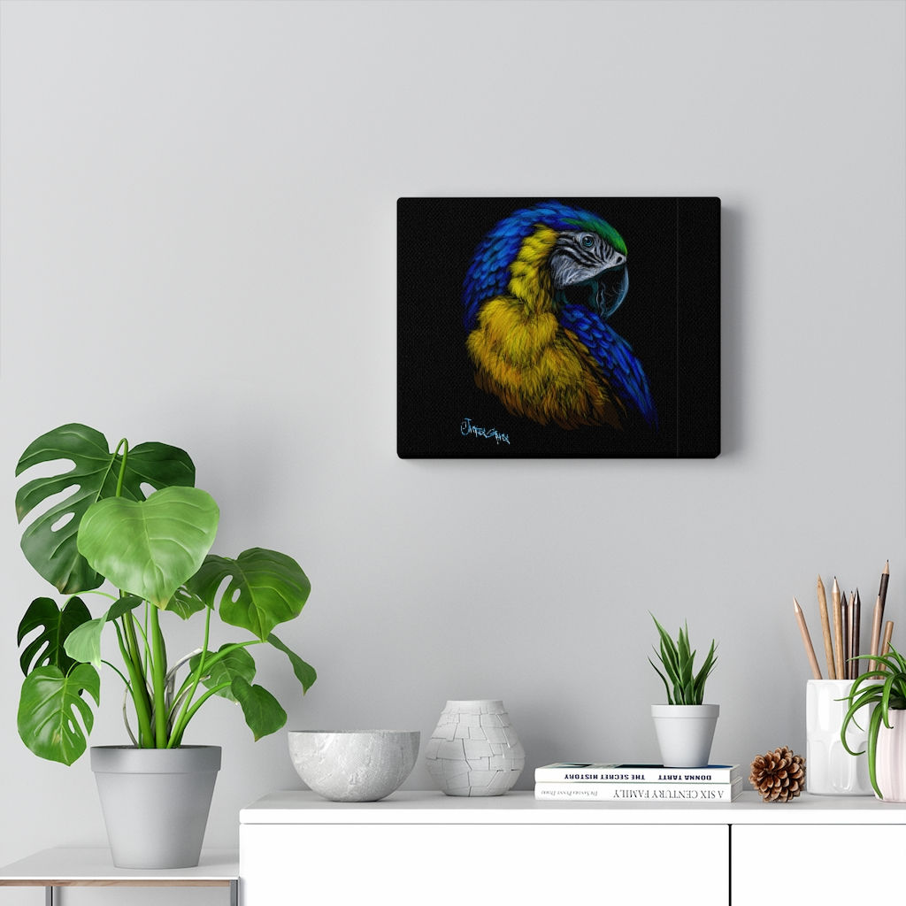 POLLY ~ Canvas Gallery Wraps