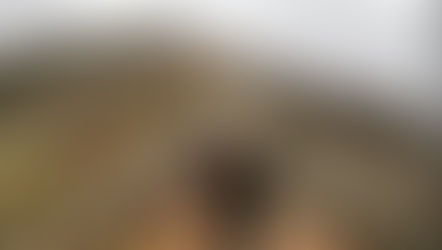 ¡Viajé sola, mochilera y aventurera en Perú!