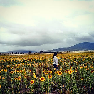 Foto del escritor: Sandra Hdez