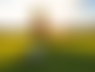 Why Your Short Game Is So Important (Even If You Hit Bombs)