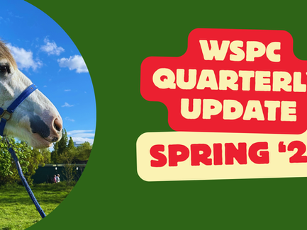 Quarterly Update - Spring 2026