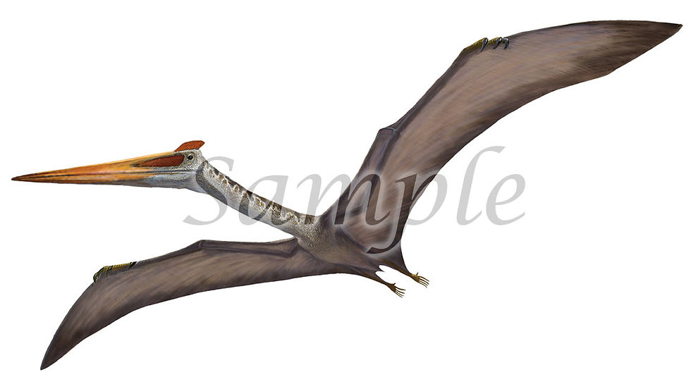 ケツァールコアトルス