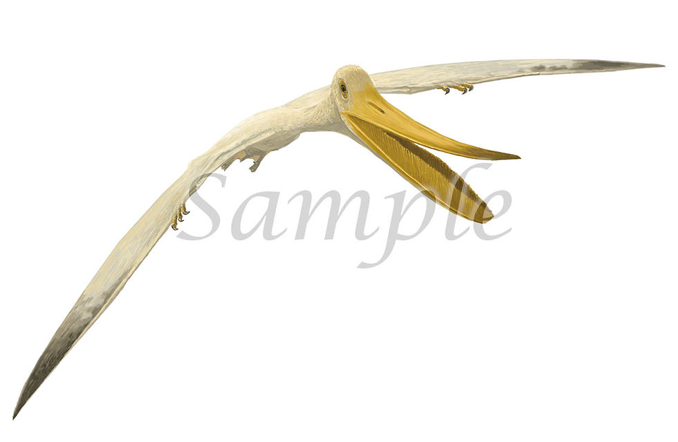 プテロダウストロ