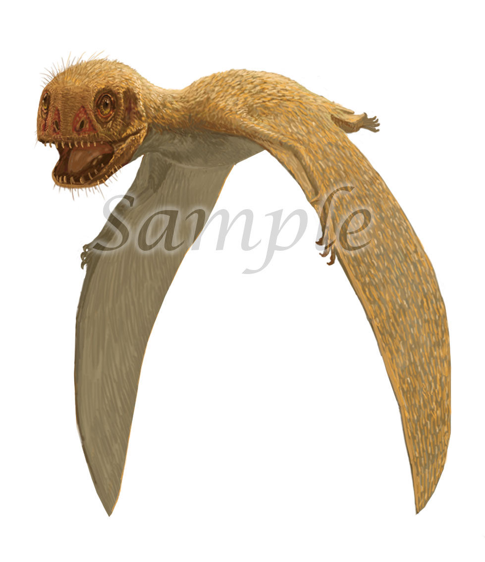 アヌログナサス