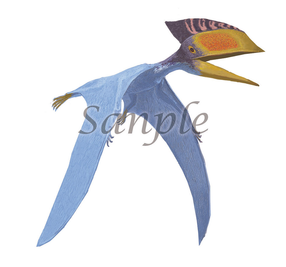 トゥプクシュアラ