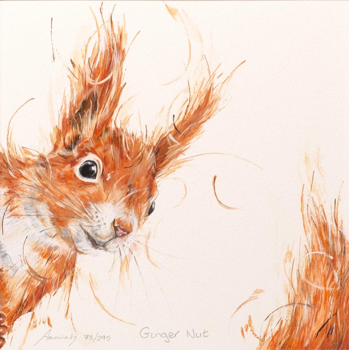 Aaminah Snowdon - Ginger Nut