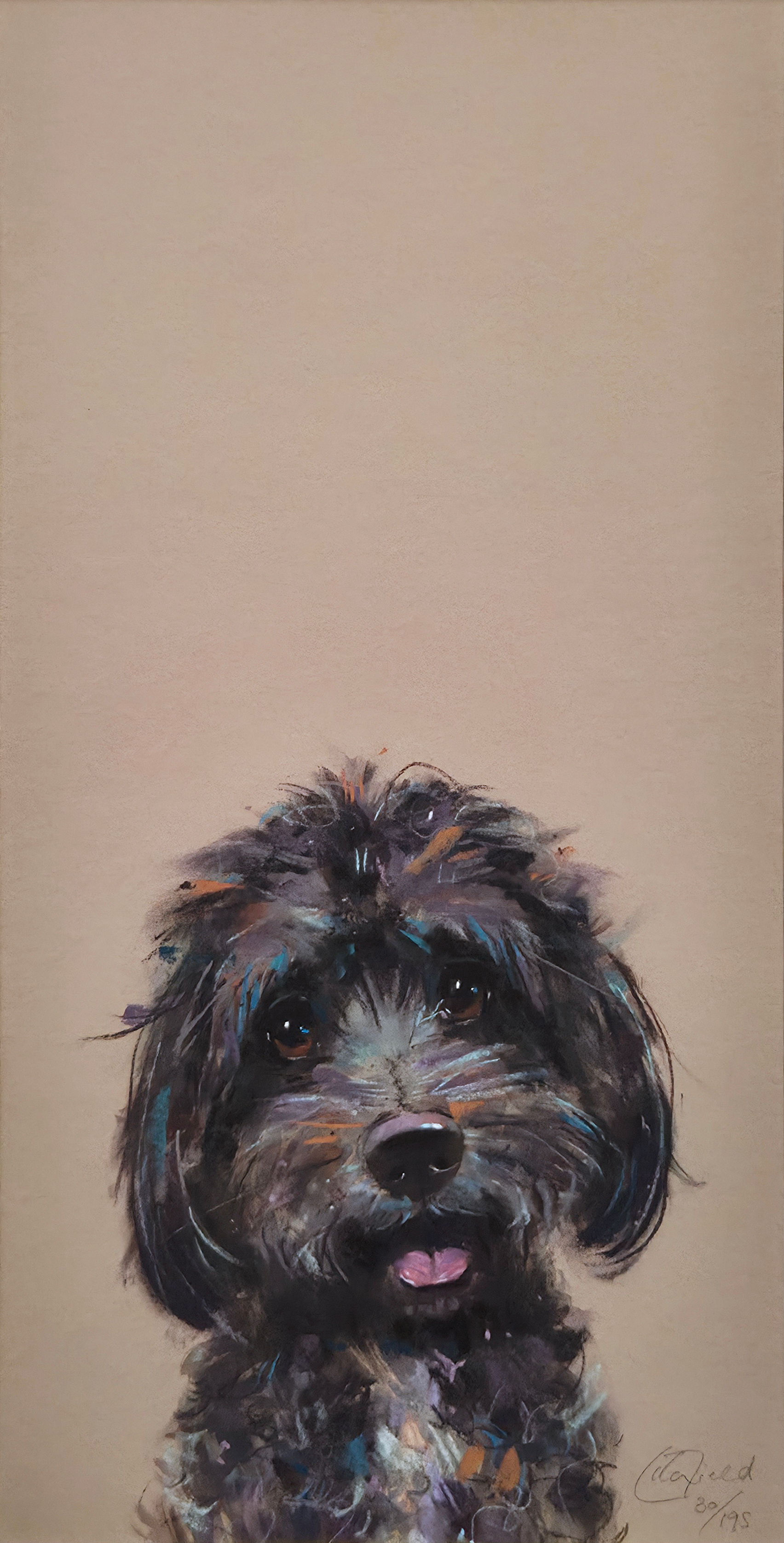 Nicky Litchfield - Poppet