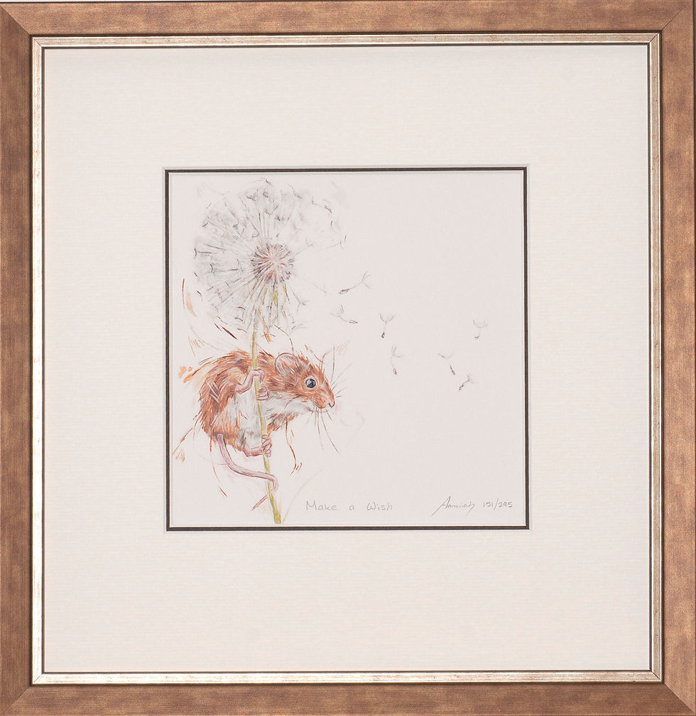 Thumbnail: Aaminah Snowdon - Make A Wish