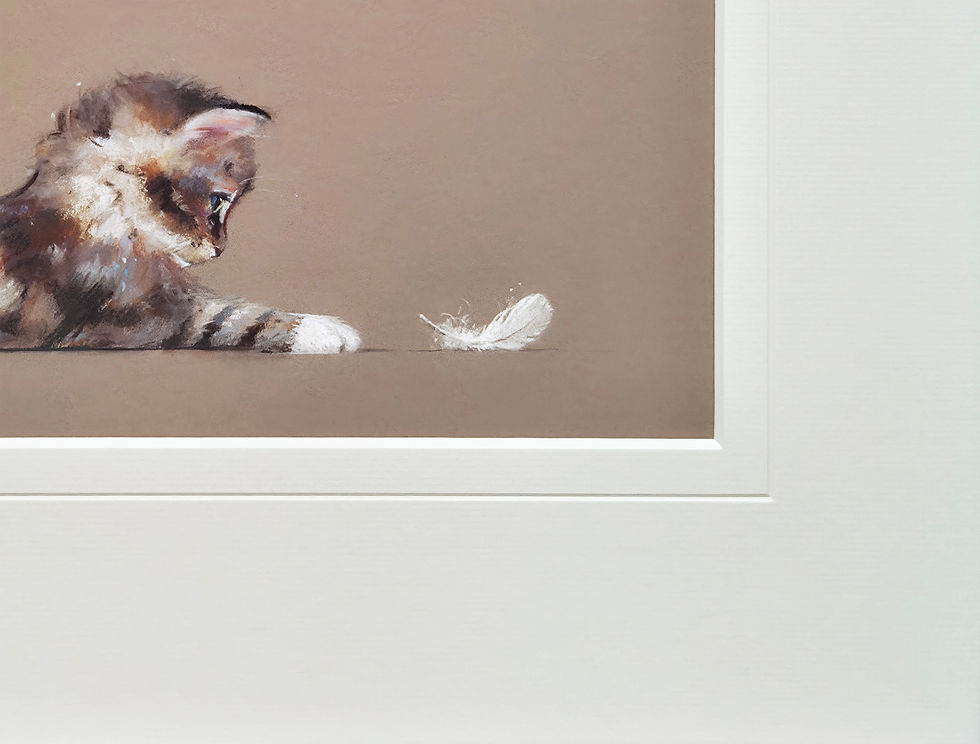 Thumbnail: Nicky Litchfield - The Feather