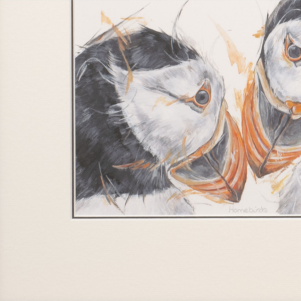 Thumbnail: Aaminah Snowdon - Homebirds