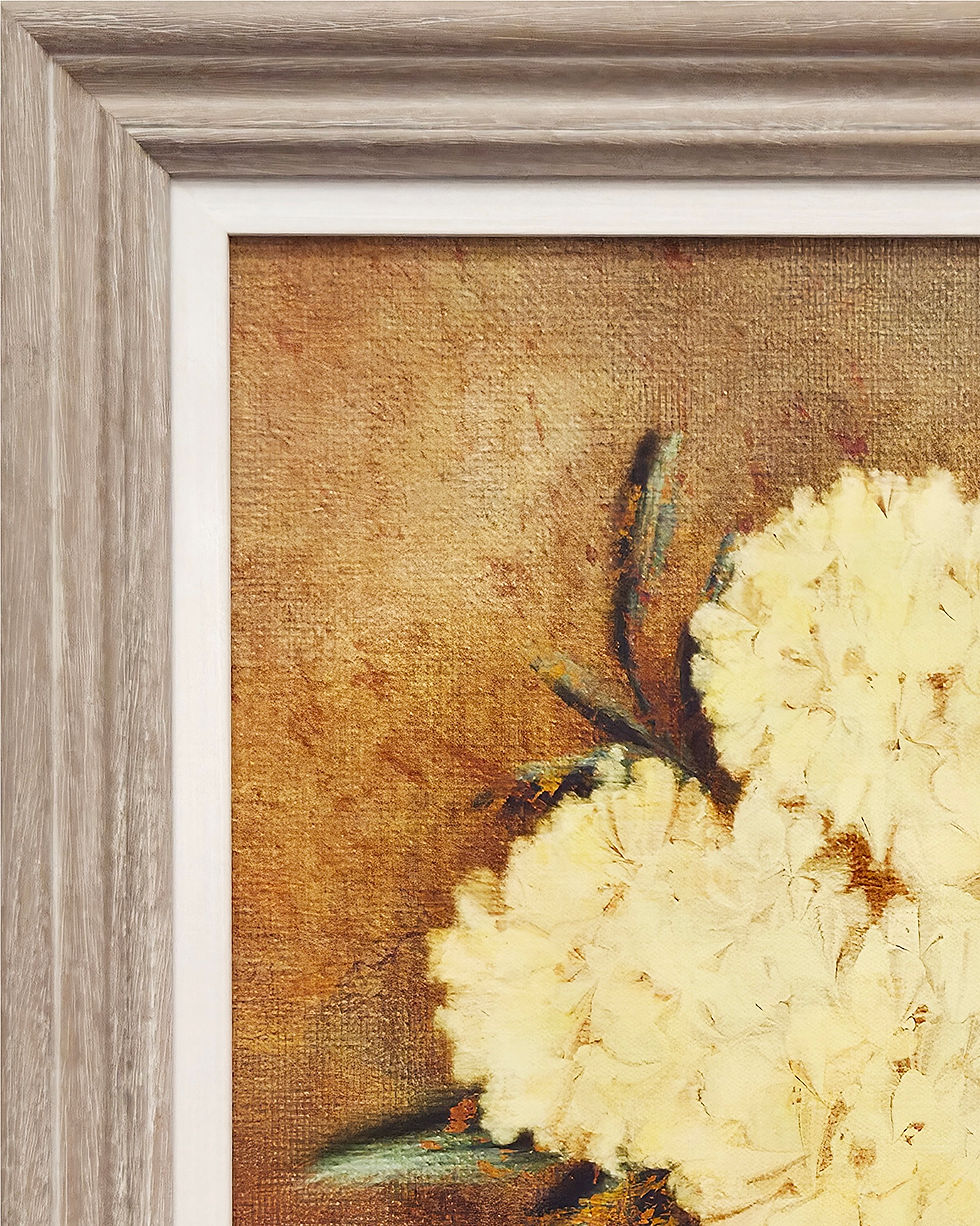 Thumbnail: Shanna Stirling - Hydrangeas