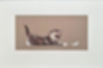 Thumbnail: Nicky Litchfield - The Feather