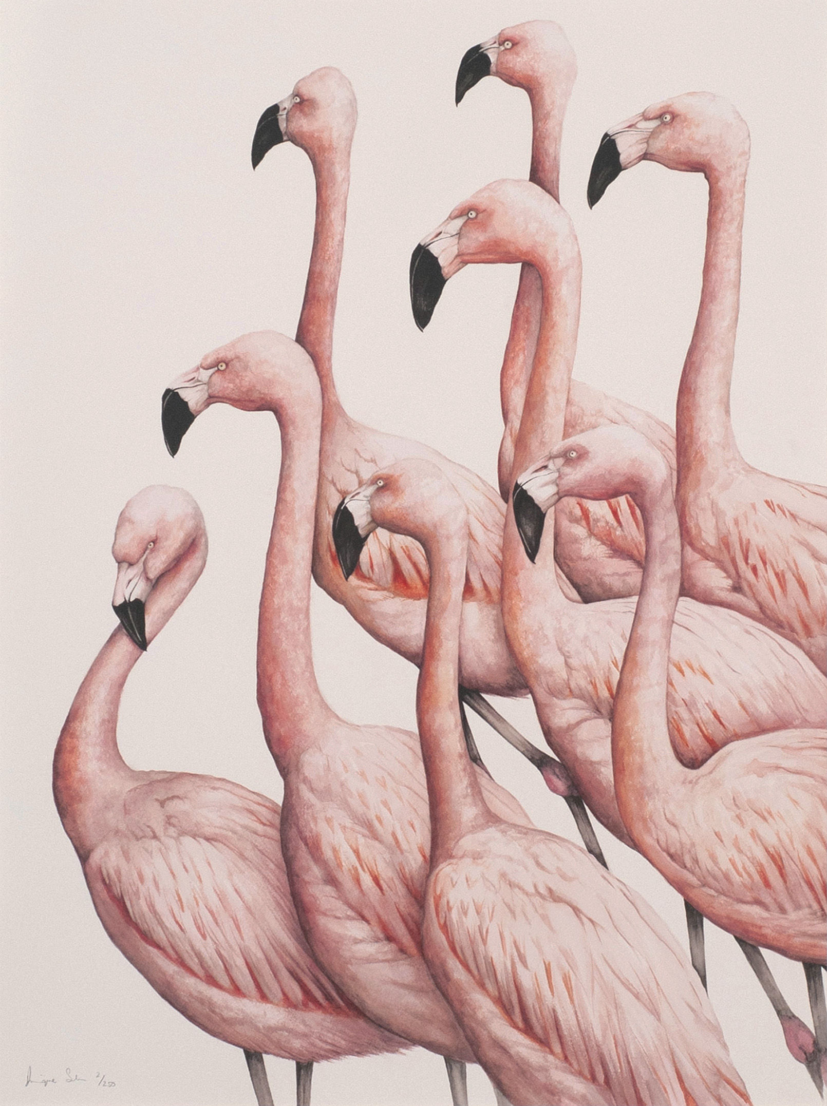 Dominique Salm - Decisions Decisions!