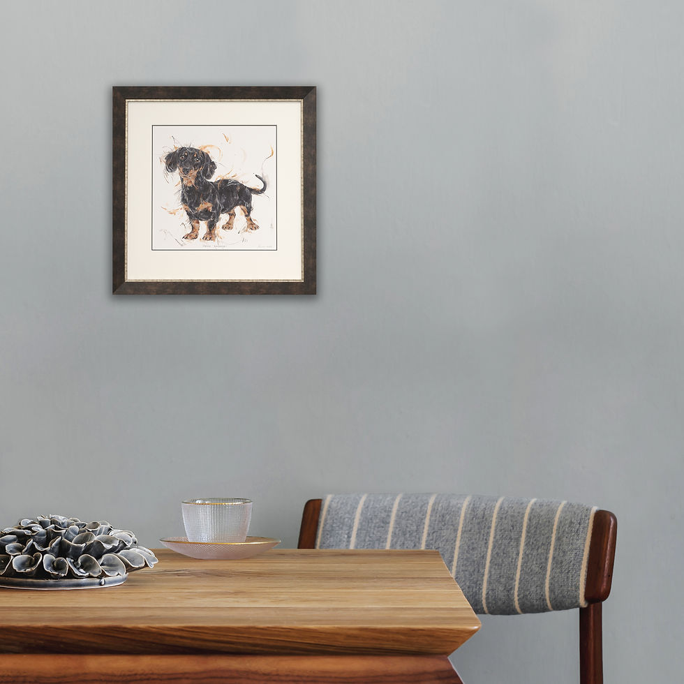 Thumbnail: Aaminah Snowdon - Hello Sausage!