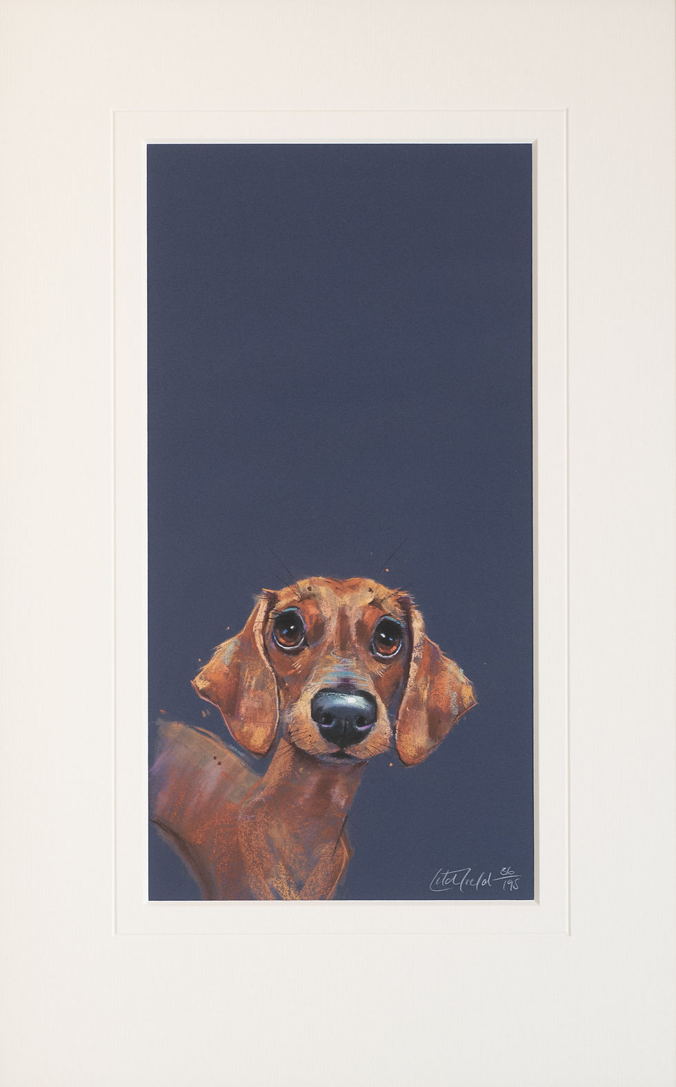 Thumbnail: Nicky Litchfield - Sausage