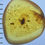 Thumbnail: Perfect Larva Fossil, Rare Inclusion in Genuine Burmite Amber, 98myo
