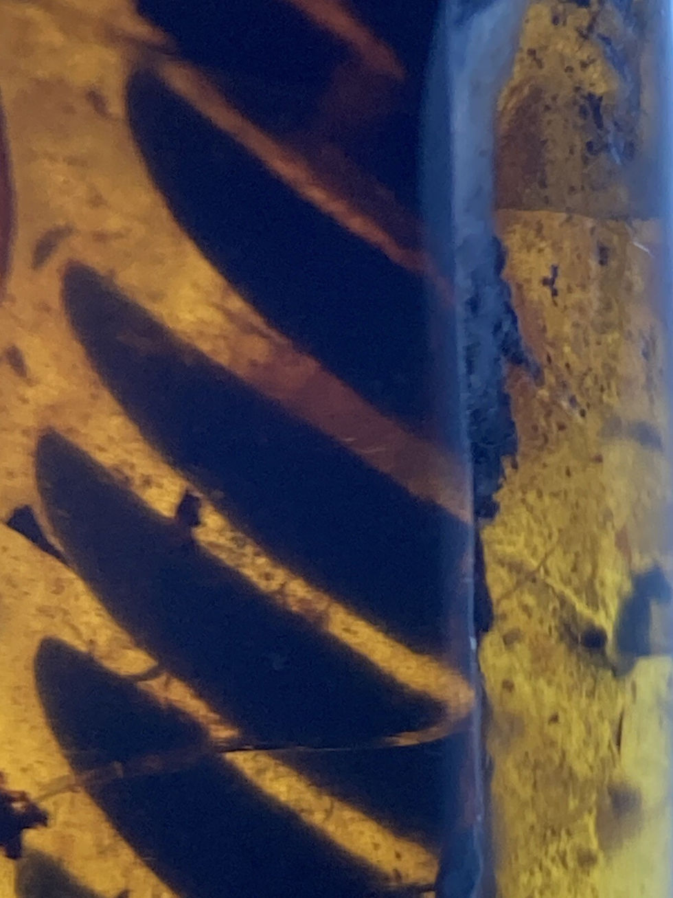 Thumbnail: Crystal Clear 🍃 Leaf 🍂 Leaves 🍁 Inclusion, Genuine Burmite Amber, 98myo! #8