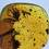 Thumbnail: 2 Perfect Flowers On Leaf - Pristine Fossil Inclusion Burmite Amber, 98myo