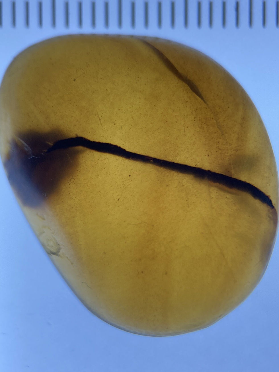 Thumbnail: Beautiful Rare Unknown Inclusion, Fossil In Genuine Burmite Amber, 98MYO