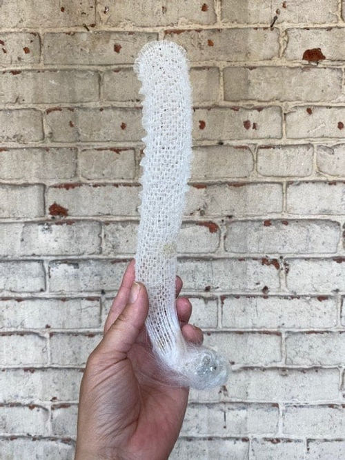 Hand holding white venus flower basket in front of painted brick wall