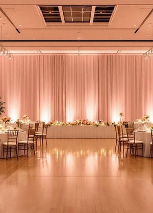 uplighting reception.jpg