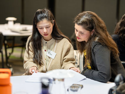 Mentoring: success through guidance and growth