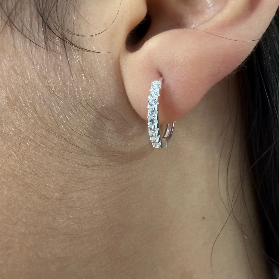 Brinco Argola Cravejada