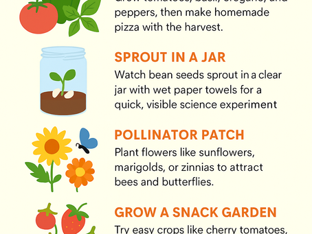 The Benefits of Gardening for Kids: Growing More Than Just Plants