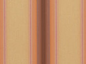 Docril 00515 Virtuous Brown Pumpkin.jpg