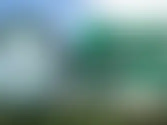 Understanding Beneficial Ownership Information (BOI)