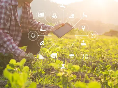Field Data Collection Challenges in Food System Digitalization: A Sustainability Perspective