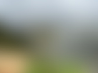 Durch das Band des Friedens – Vorbereitungen auf Weltgebetstag laufen